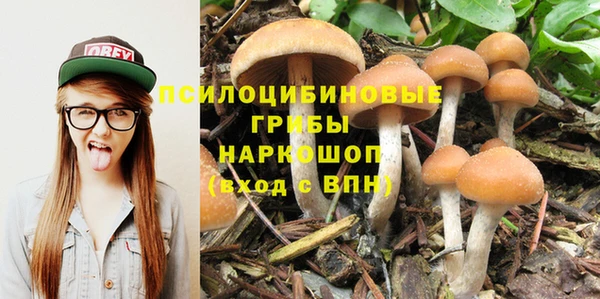 соль ск Горнозаводск