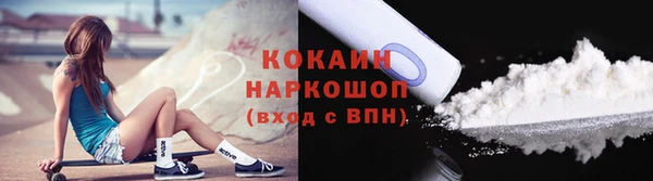 соль ск Горнозаводск