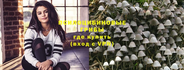 стаф Горно-Алтайск