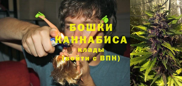 соль ск Горнозаводск