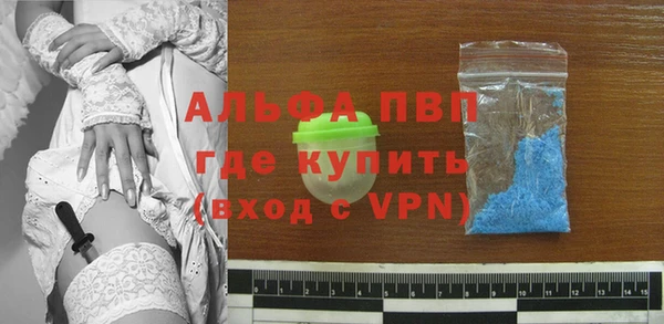 стаф Горно-Алтайск
