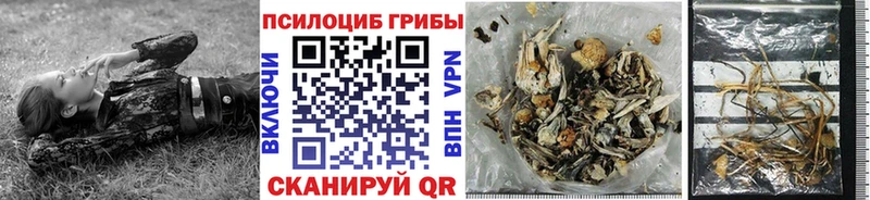 Купить Богородицк Галлюциногенные грибы MAGIC MUSHROOMS