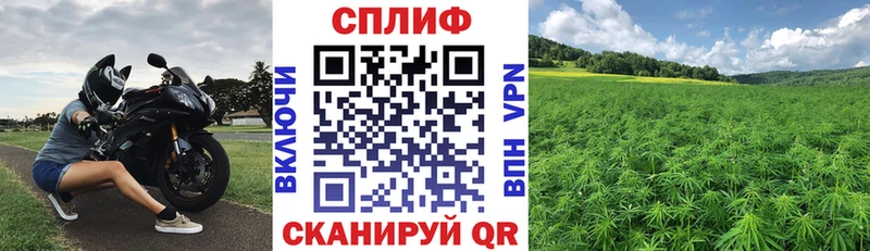 Конопля THC 21%  Купить закладки  Богородицк 